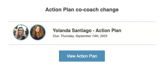 actionplanCo-Coach.png